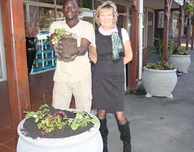 Knysna in Bloom project up and running
